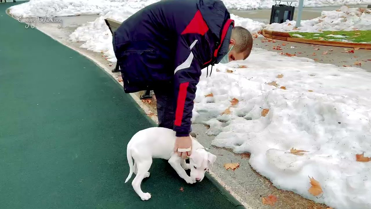【4K HDR】Father's Garden (Babalar parkı)  / Turkiye _Gaziantep | 4K relaxation 