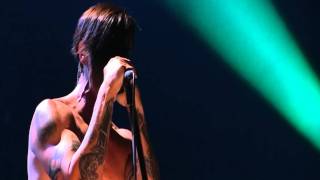 Red Hot Chili Peppers - Brendan&#39;s Death Song - Live in Köln 2011 [HD]