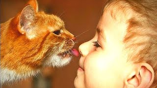 Лучшие приколы с детьми и котами | HotFun