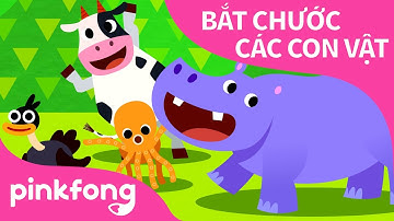 Bắt Chước Các Con Vật | Bài hát về Động Vật | Pinkfong! Những bài hát cho trẻ em