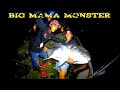 ⛔menegangkan || Sambaran ganas si mama monster di malam hari membuat panik !!