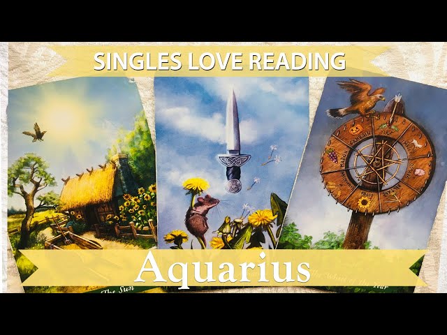 Aquarius Singles You're being tested. There's reward for all your hard work. class=