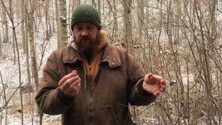 Mountain Man Survival Guide: Squirrel Pole