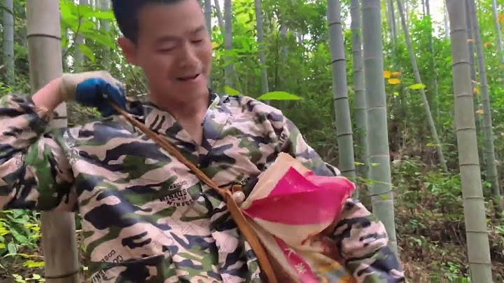 都说挖到笋窝就是发财，那我这个豪华版的笋窝是不是发大财了。