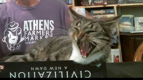 400 Boardgame Challenge Episode 13 Flamme Rouge and Civilization A New  Dawn