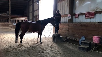 2019-05-29 Liberty Mounting Block