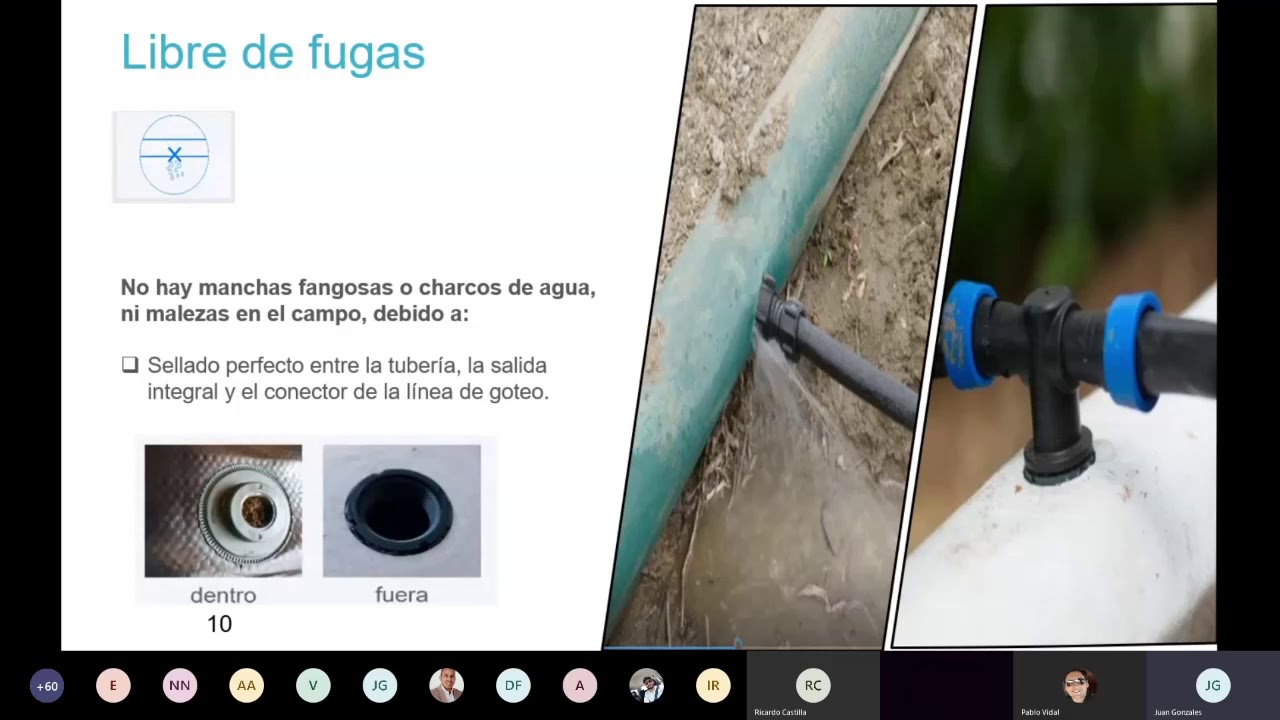 Capacitación 4: Flexnet - Parte 1 - YouTube