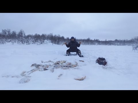 Рыбалка на тажном озере. Часть третья.