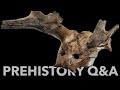 PREHISTORY Q&amp;A with the Prehistory Guys | JULY 2022
