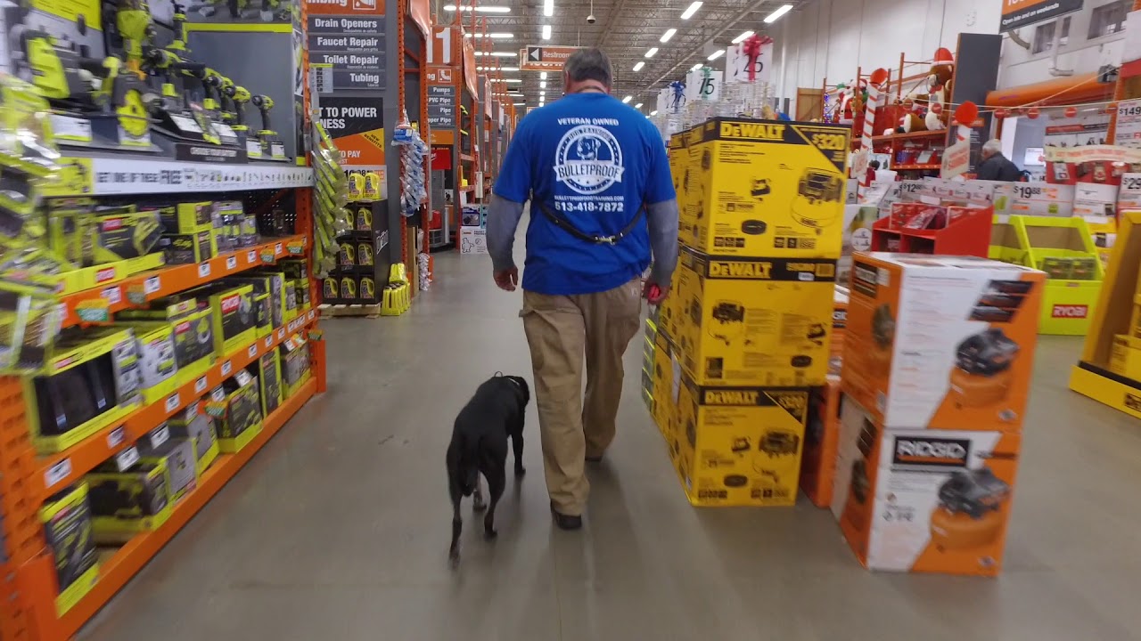 AMAZING TRANSFORMATION OF 