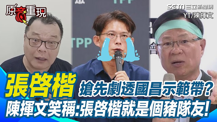 黃國昌遭自家人「爆破」！「張啓楷」搶先劇透國昌示範帶？陳揮文笑稱張啓楷你就是個豬隊友！光碟從哪來誰最可疑？陳揮文曝最有可能是律師【94要客訴】