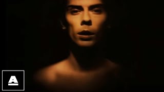 Watch Peter Murphy Hit Song video