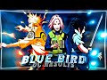 Blue bird  naruto editamv  gojos 50k oc results 