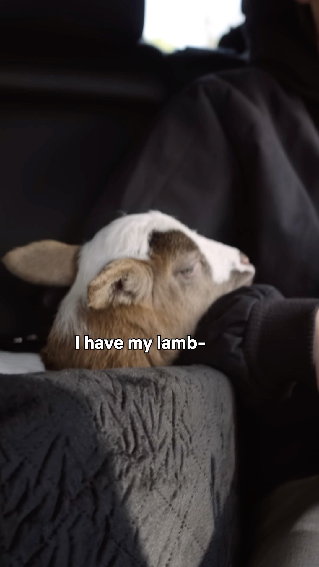 Millie Bobby Brown brought her pet lamb on set ?. #TheElectricState premieres March 14
