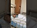 末期癌で寝てると思ったら・・・・