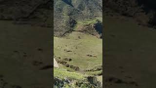 Toloşə Bandon Talış Dağlarılerik Rayonun Gozəl Kəndləri Daha Çox Məzərə Kimda Hədəf 800