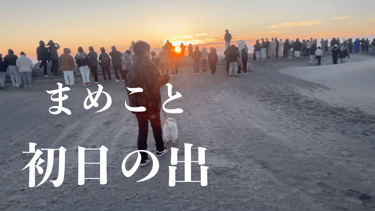 ポメラニアンまめこも一緒に初日の出見に行ったよ