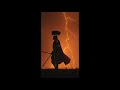 Alexander the Great: The King Who Believed He Was a God #shorts