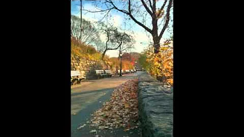 "November" by John Guari