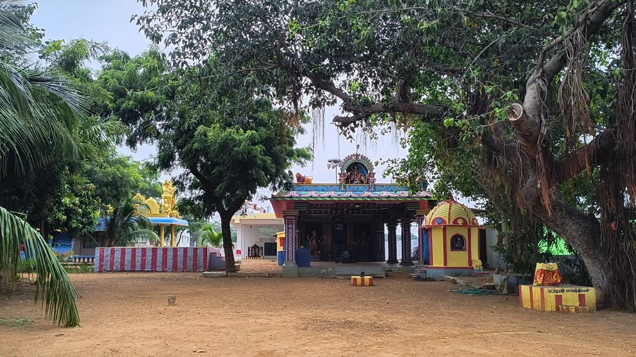 ஊத்துமலை காளி அம்மன் கோவில் பொங்கல் – 16.01.2026 தமிழ் வாழ்க! தமிழர் வாழ்க!