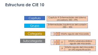 Utilización de la CIE-10: Volumen 1 Lista tabular screenshot 3
