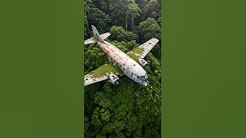 Abandoned Crash Plane Found Deep in Amazon Jungle