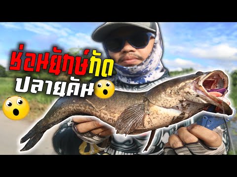 แกงเผ็ดปลาช่อน Ep68 |เชฟกระทะบุบ ทำกินเอง. 