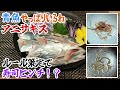 アニサキス防止のルール策定で、寿司ピンチ!?