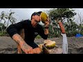 7 DAYS SOLO SURVIVAL WITH NO WATER. Can you survive on only drinking coconuts for 7 days? EP 46