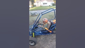 301cc  Predator buggy