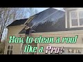 How to clean a roof like a pro!