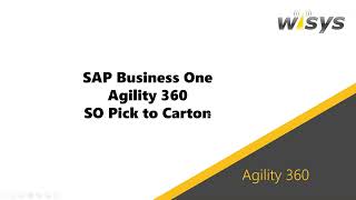 Pick to Carton in SAP Business One using WiSys Agility 360