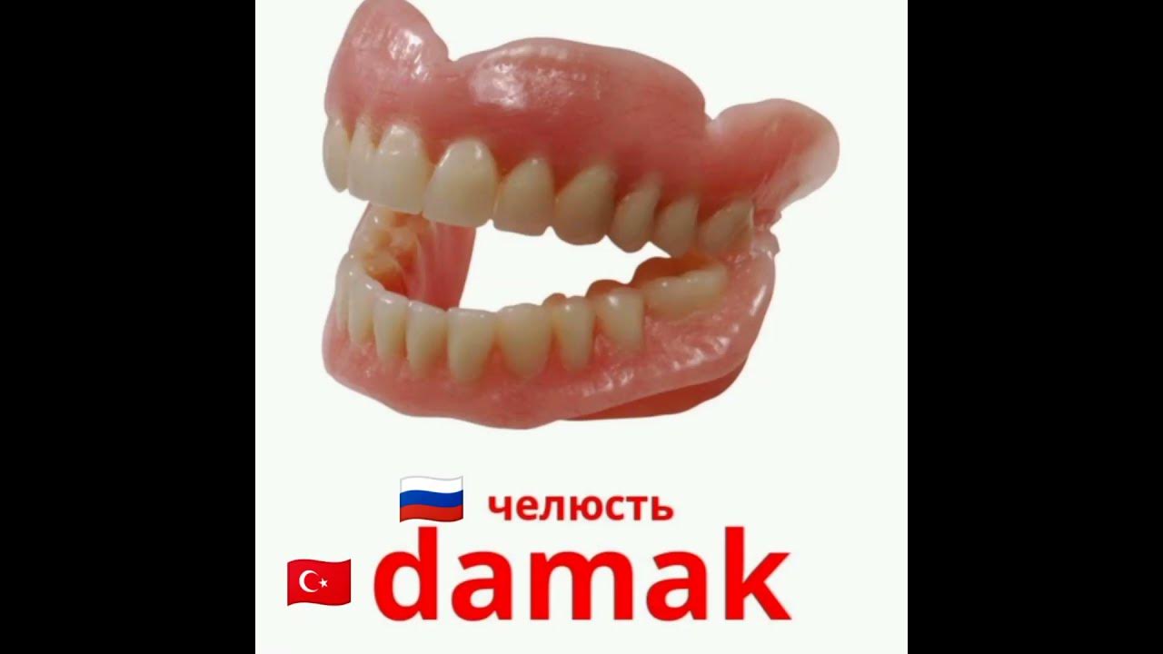 Вставная челюсть прикол