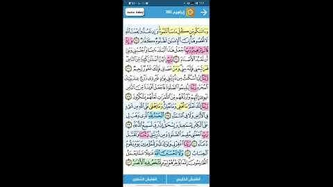 سوره ابراهيم / الربع الثالث / الوجه السادس / تدبر وتربيط ومتشابهات من ايه 35 الى 42