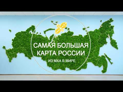LETO-Вертикальное озеленение