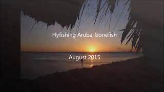 Aruba Bonefish 24 Aug 2015 Flyfishing John Uilenberg Aruba Vliegvissen Bonefish