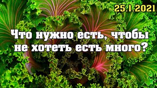 Что нужно есть, чтобы не хотеть есть так много?