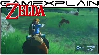 Zelda Wii U Gameplay - Full-Screen Zoom Version (Game Awards Footage)