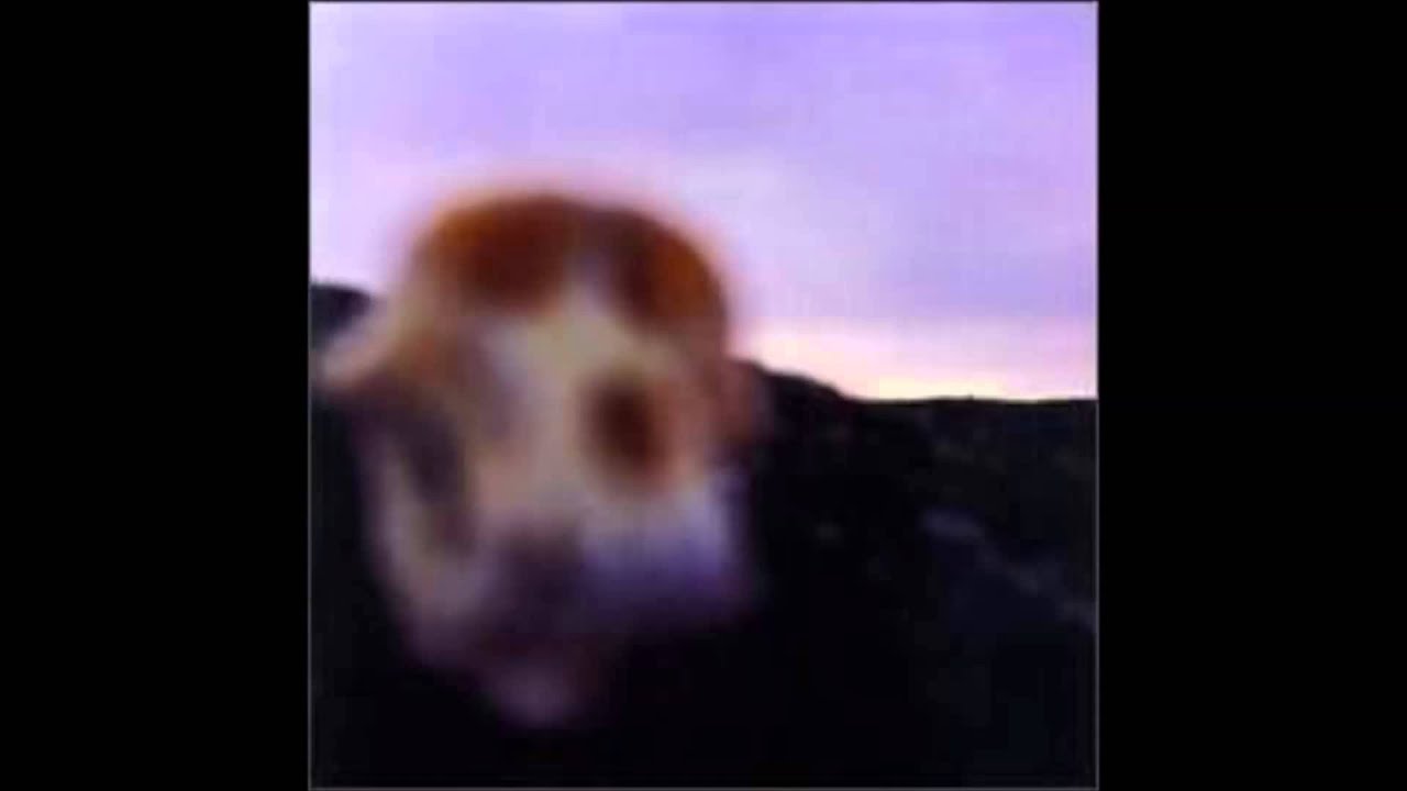 Watch Hedningarna - Kaivonkansi on YouTube Watch Hedningarna - Kaivonkansi on YouTube