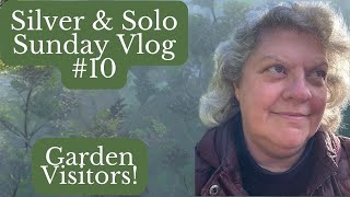 Sunday Vlog #10  Garden Visitors & a Dog Walk