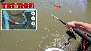 Striper Here year round! Striper Fishing Sacramento river-2026 King salmon fishing is back! #fishing