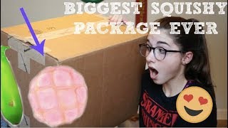 BIGGEST SQUISHY PACKAGE EVER!