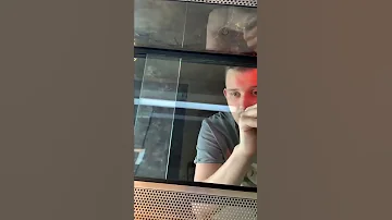 Аптечный сцинк Перри что-то нашёл в песке