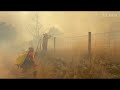 INCENDIOS DE BURGOHONDO | La Guardia Civil detiene a un hombre como presunto autor | EL PAÍS