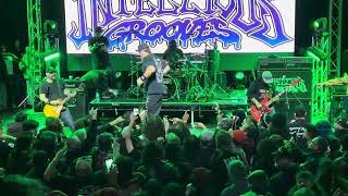 Violent & Funky - Infectious Grooves - Live at Garden Amp 03/24/24