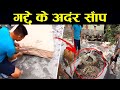 गद्दे के अंदर निकला सांप लोग हुए हैरान  15 strange things found in unexpected places ,discovery