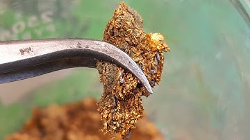 Hope You Find This Video a Treasure!