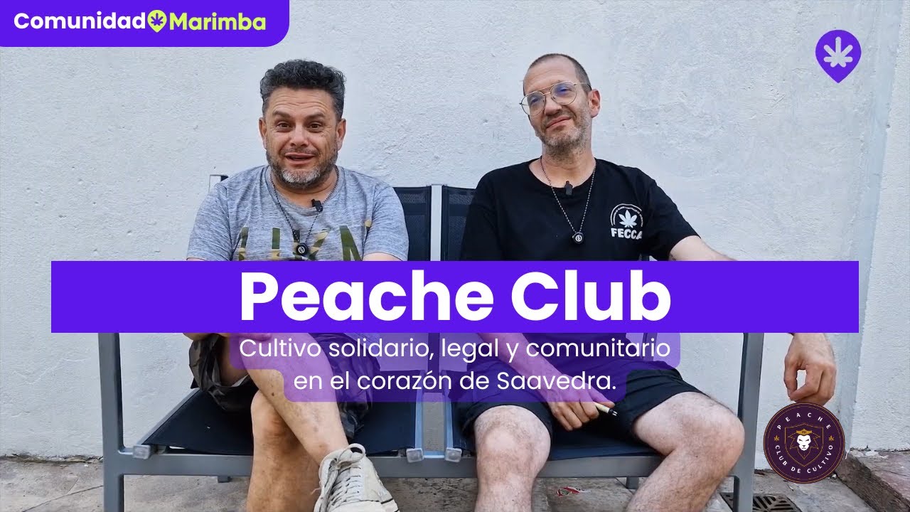 Comunidad Marimba | Visitamos Peache Club – ONG de Cultivo Legal en Argentina
