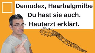 Demodex, Haarbalgmilbe: Hautarzt erklärt. Außerdem Infos zu Flöhen, Läusen, Krätzmilben...