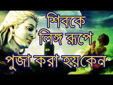 ভিডিও: শিনের হাড় কি ছিল?